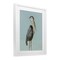 Stupell Industries Coastal Pelican Muted Blue Framed Print Under Glass, design by Julie DeRice